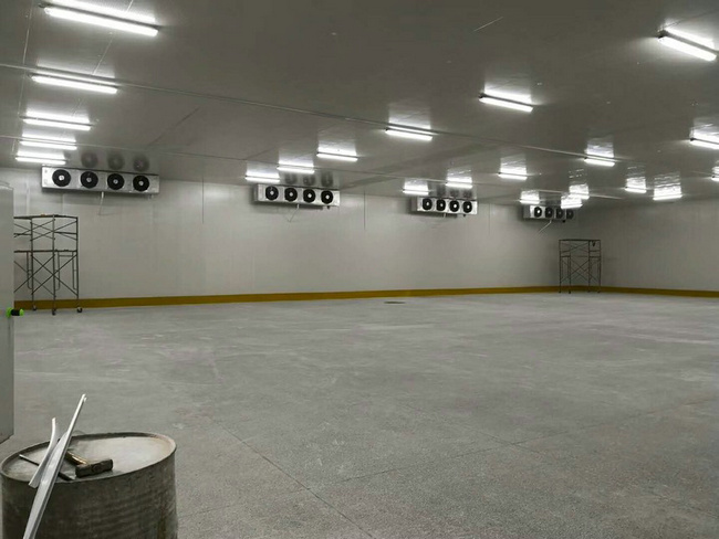 建造100平方冷凍庫需要多少錢？